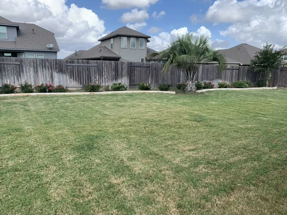 Reliable lawn mowing service for homes across Kyle, TX - MJ’s Lawn Cutters