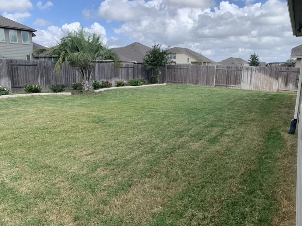 Trusted yard cleanup service for residential properties in Kyle, TX by MJ’s Lawn Cutters