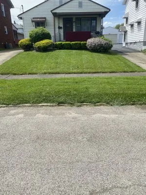 MJs Lawn Service And More Logo