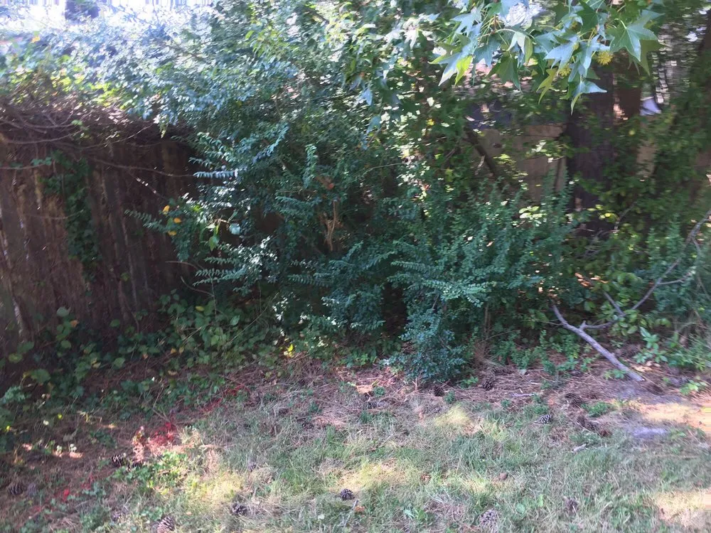 Trusted landscaping services for outdoor upgrades in Chesapeake, VA by MJ's Lawn Service