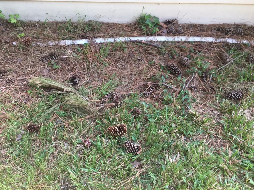 Expert outdoor landscaping experts serving Chesapeake, VA - MJ's Lawn Service