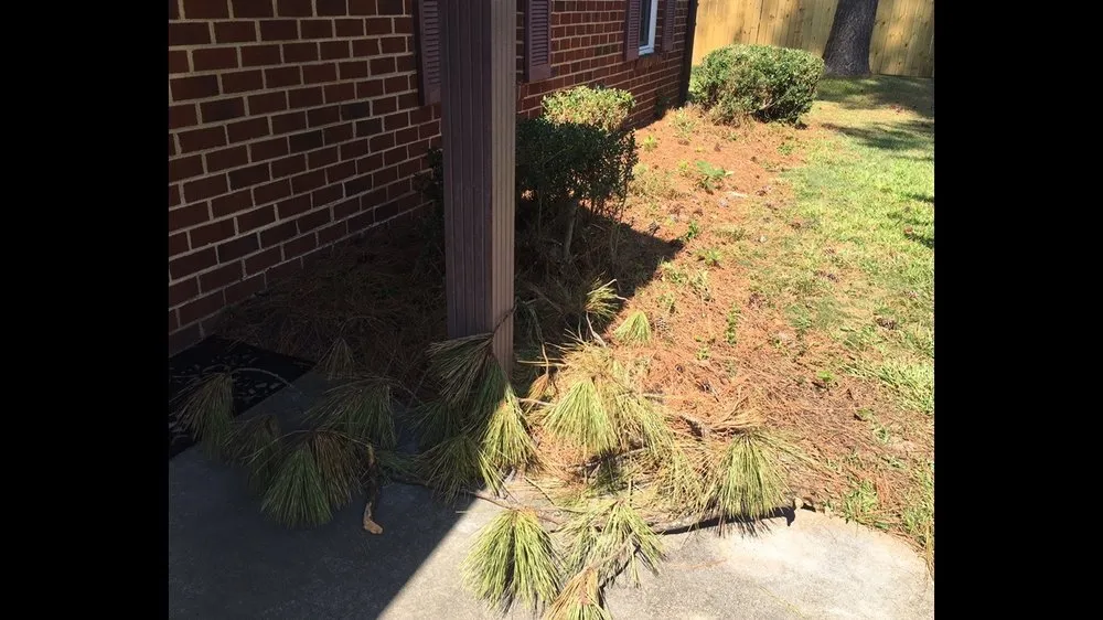 Expert landscape design experts serving Chesapeake, VA - MJ's Lawn Service