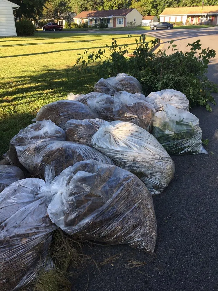 Professional landscaping services in Chesapeake, VA by MJ's Lawn Service