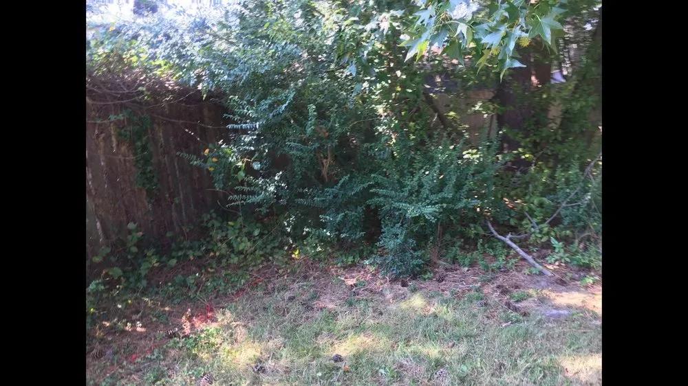 Local residential landscaping experts serving Chesapeake, VA - MJ's Lawn Service