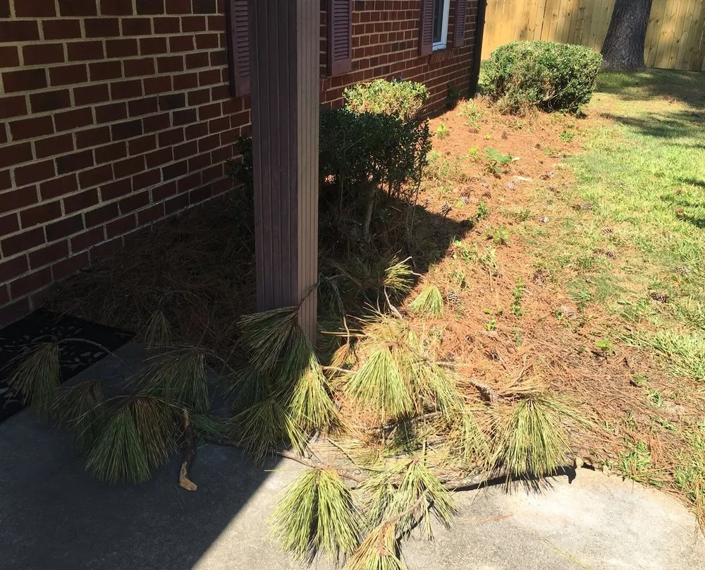 Custom landscaping services for year-round maintenance across Chesapeake, VA - MJ's Lawn Service