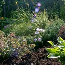 Local yard maintenance for year-round maintenance across Bellows Falls, VT - MJS Lawncare & Lawnscape