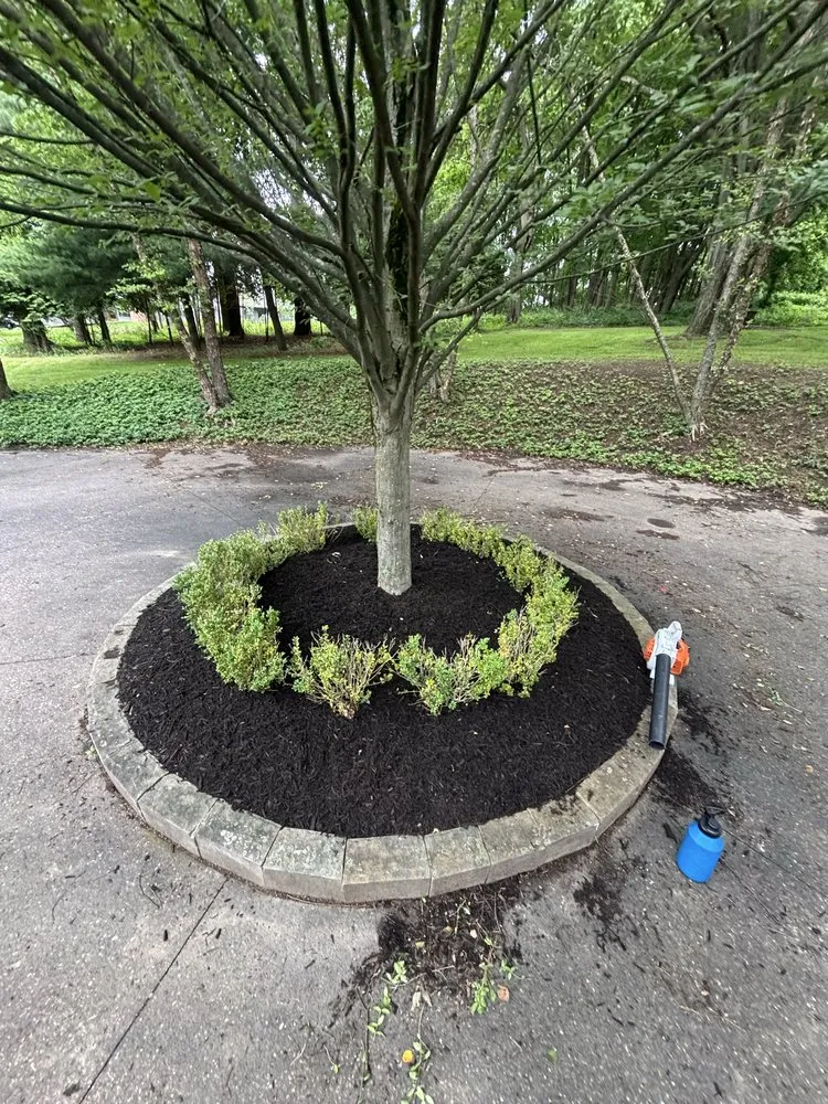 Trusted outdoor landscaping near you across Carnegie, PA - MJ’s LawnCare