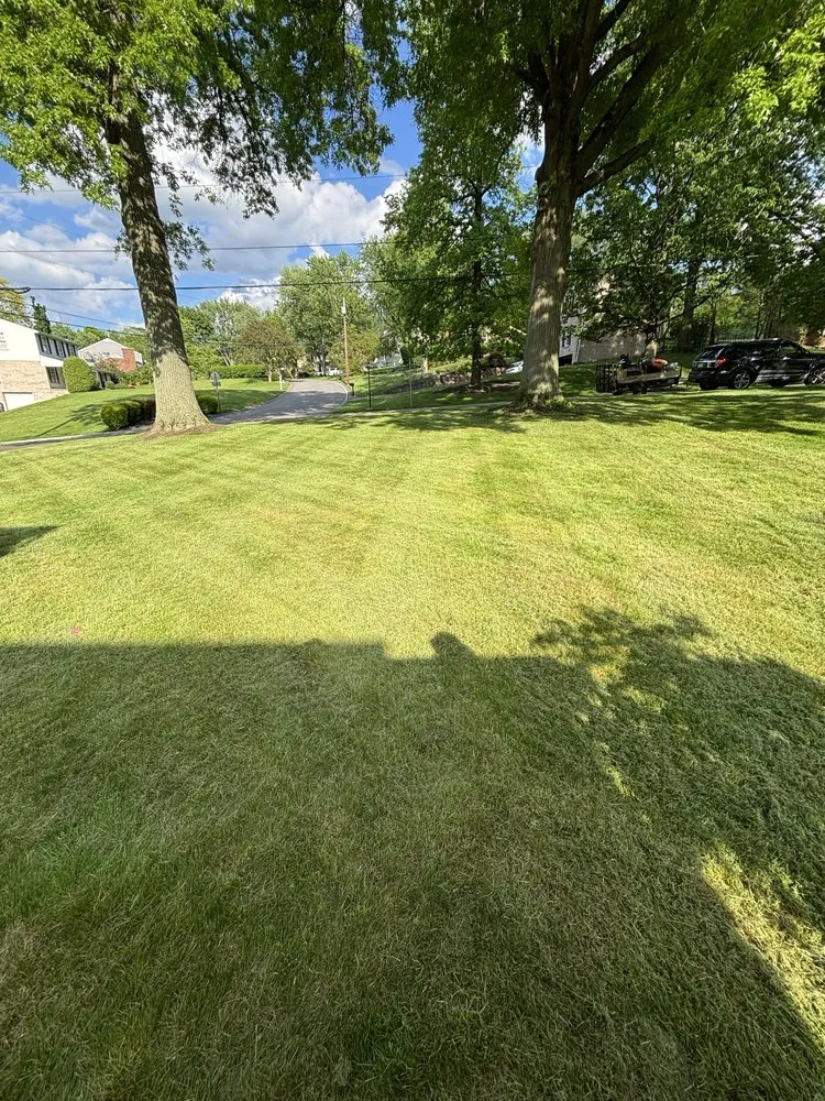 Local yard cleanup service for homes in Carnegie, PA by MJ’s LawnCare