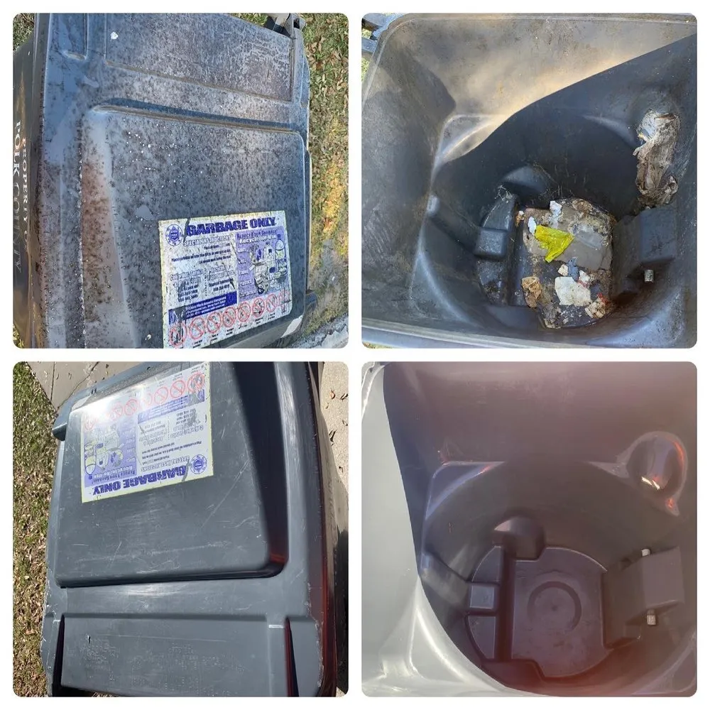 Custom yard cleanup service experts serving Auburndale, FL - MJs Mean Clean