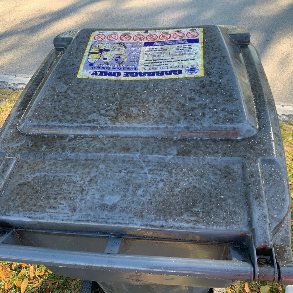 Trusted landscape installation near you in Auburndale, FL by MJs Mean Clean