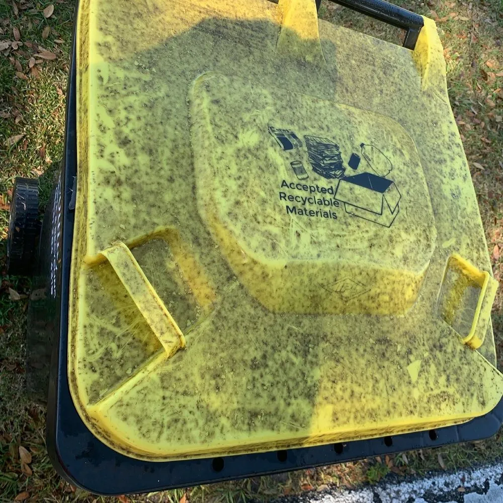 Top-rated outdoor landscaping near you in Auburndale, FL by MJs Mean Clean