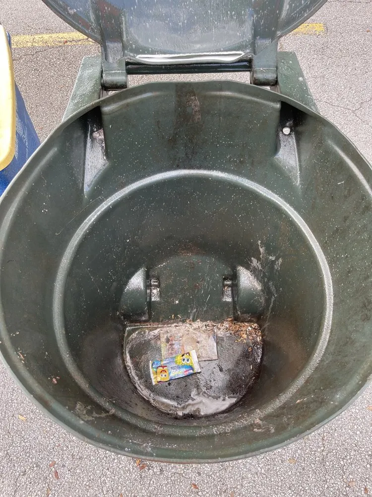 Custom landscaping services near you in Auburndale, FL by MJs Mean Clean