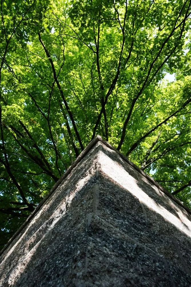 Local landscape design in Urbana, OH - MJS Outdoors