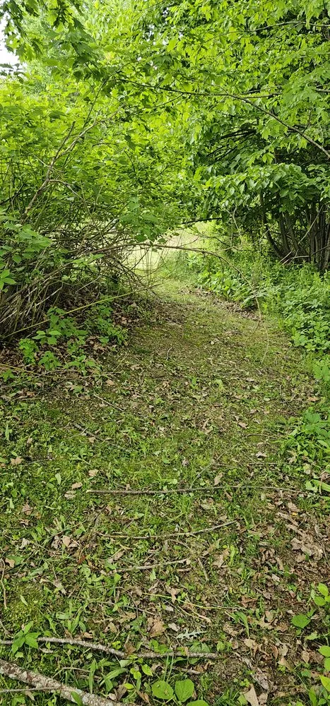 Trusted residential landscaping for beautiful yards in Minot, ME by MJ's Property Services