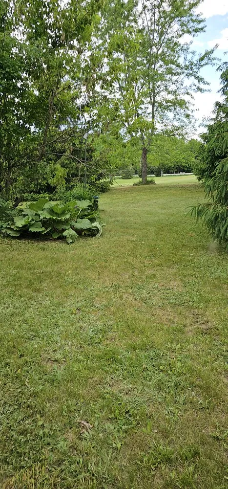 Local outdoor landscaping in Minot, ME - MJ's Property Services