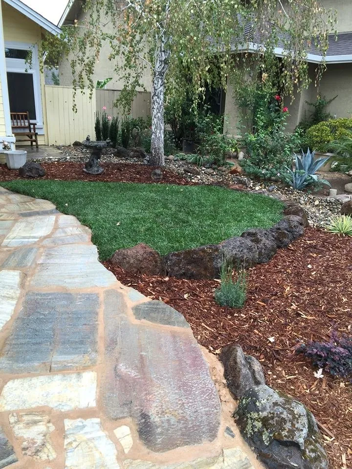 Reliable landscape installation for year-round maintenance in Sacramento, CA by MJ's Smart Scape