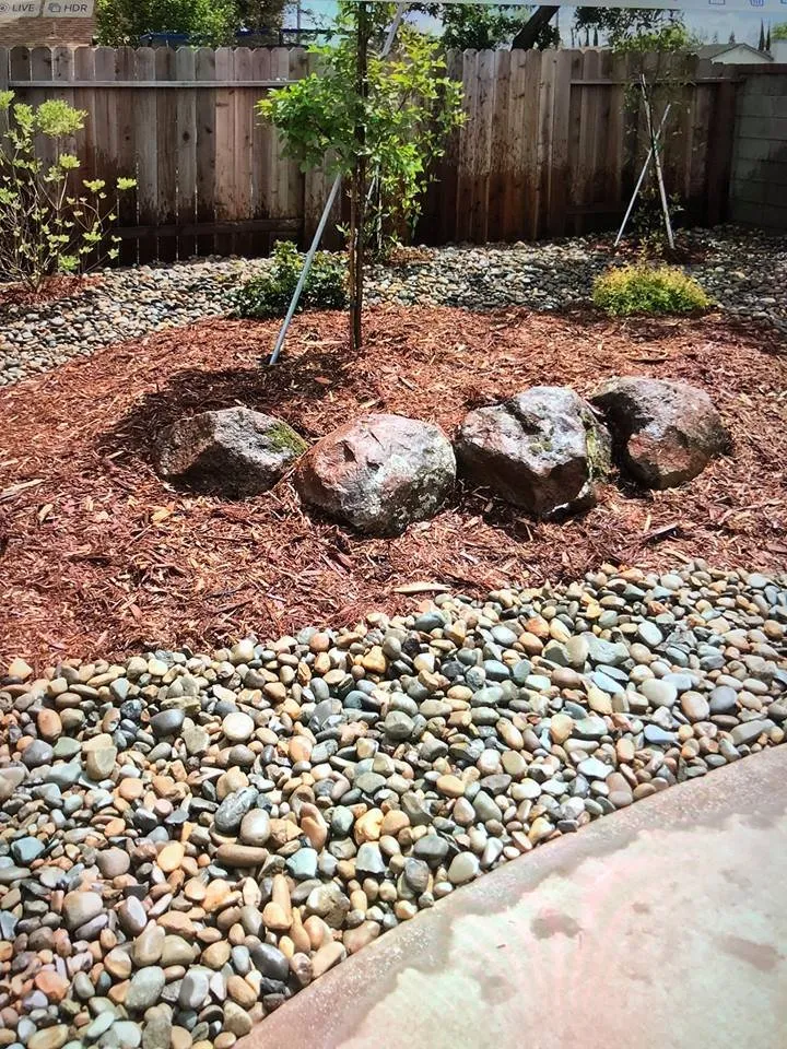 Top-rated landscaping services in Sacramento, CA - MJ's Smart Scape