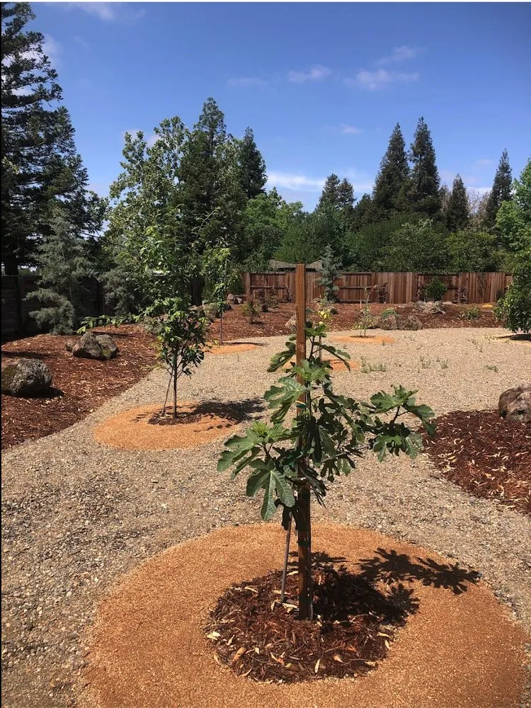 Local landscape design in Sacramento, CA by MJ's Smart Scape