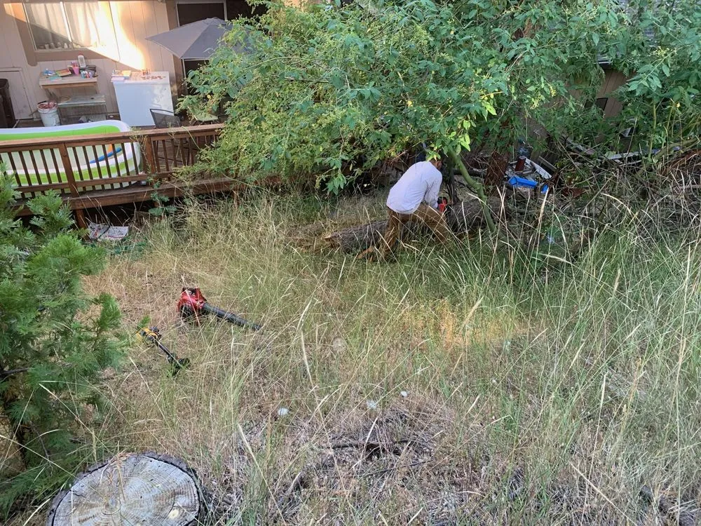 Affordable yard cleanup service experts serving Stockton, CA - MJ’s Yard Care