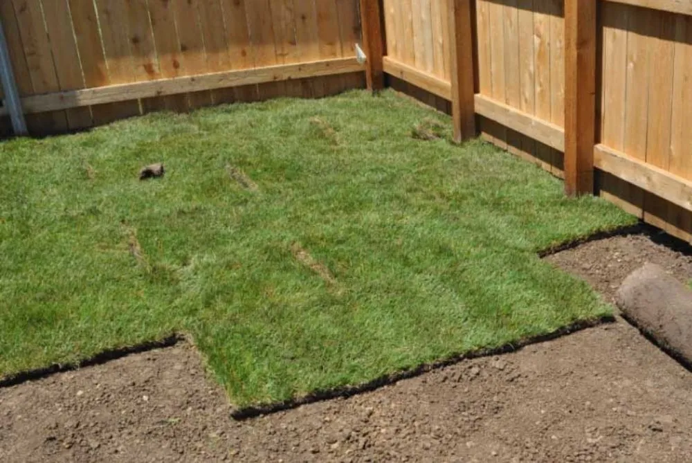 Expert residential landscaping with custom design across Buchanan Dam, TX - MJt irrigation