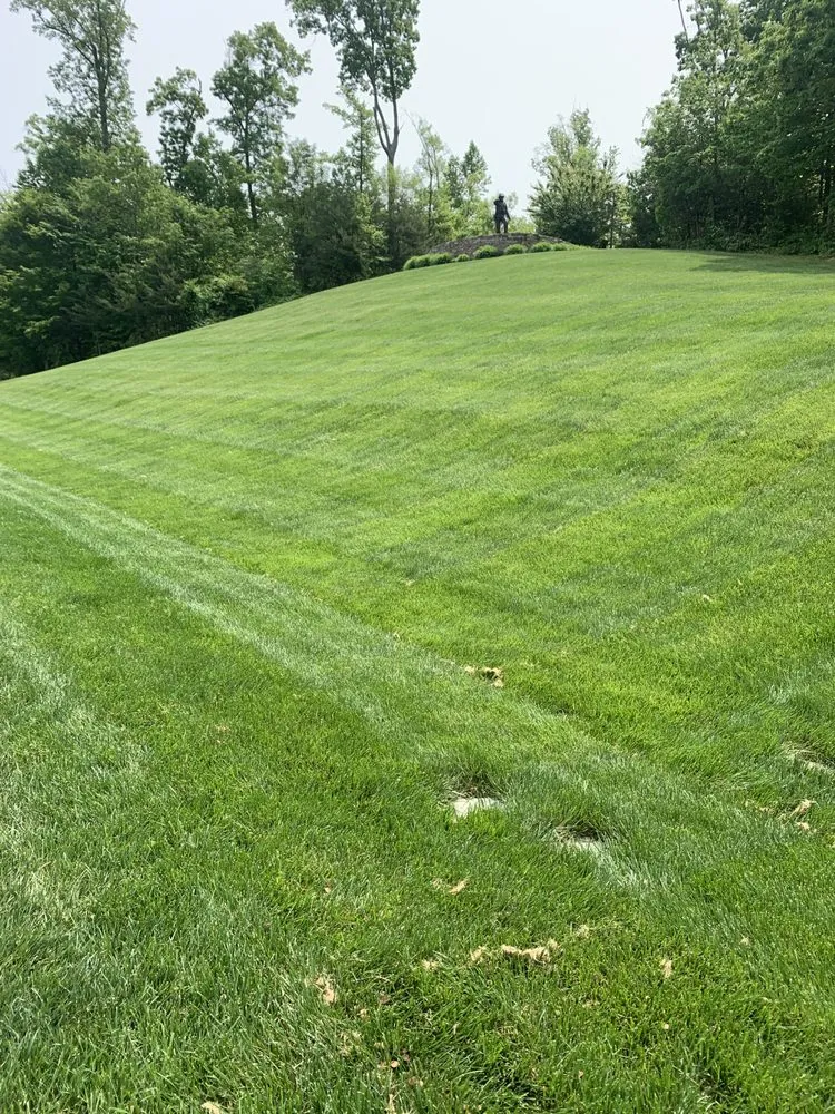 Local landscape installation in Hague, VA by MJW Landscaping