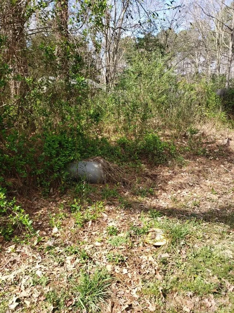 Expert yard maintenance near you in Hague, VA by MJW Landscaping