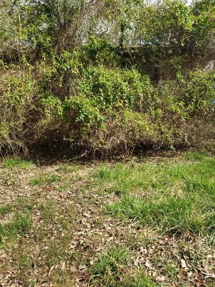 Professional landscape design in Hague, VA by MJW Landscaping