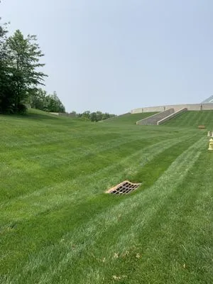 MJW Landscaping Logo