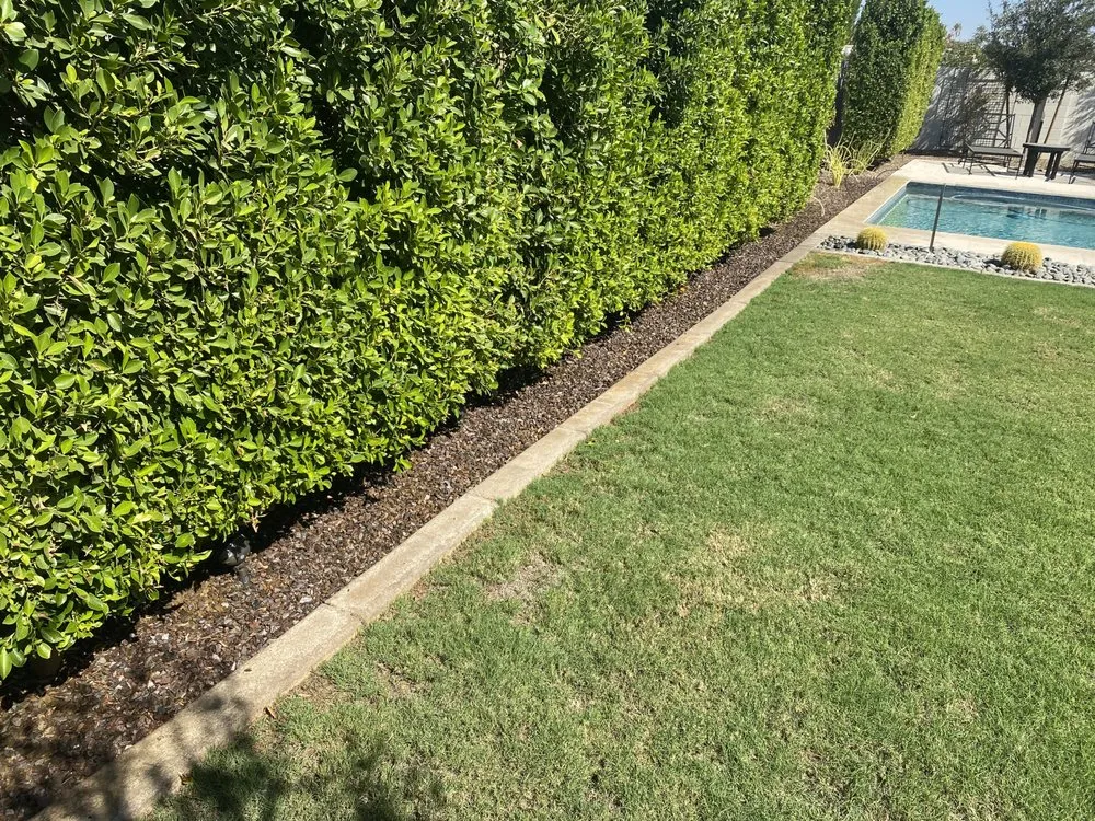 Professional lawn mowing service in Mesa, AZ by MJY&Y Brothers Landscape