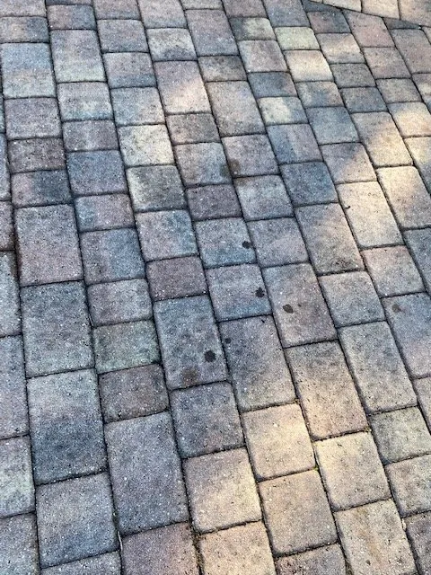 Trusted lawn care service experts serving Fort Lauderdale, FL - MJ'z Tree and Landscaping Service