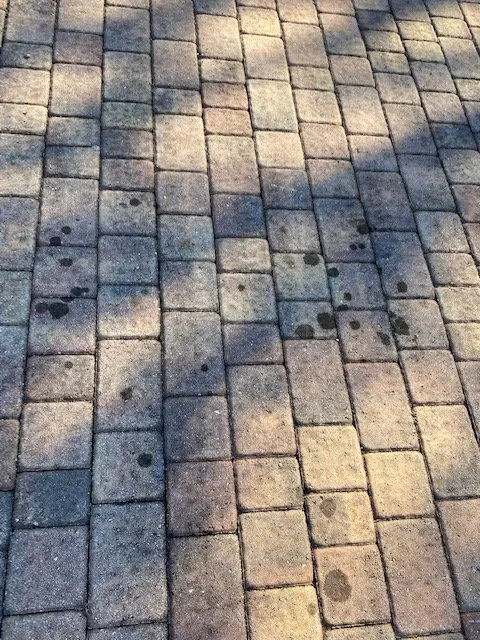 Local landscape installation in Fort Lauderdale, FL by MJ'z Tree and Landscaping Service