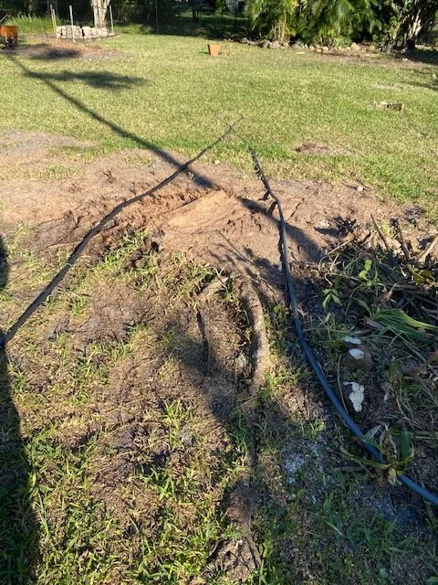 Top-rated landscape installation in Fort Lauderdale, FL by MJ'z Tree and Landscaping Service