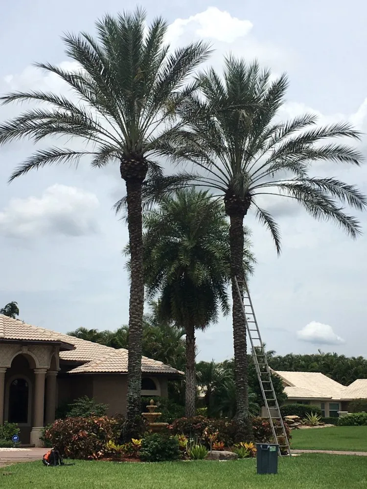 Custom lawn mowing service for residential properties across Fort Lauderdale, FL - MJ'z Tree and Landscaping Service