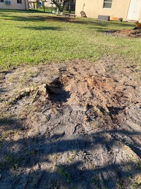 Top-rated yard cleanup service in Fort Lauderdale, FL by MJ'z Tree and Landscaping Service