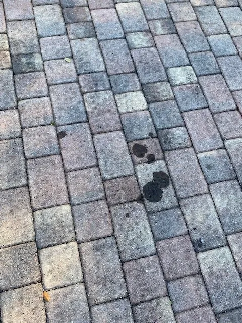 Custom landscape design experts serving Fort Lauderdale, FL - MJ'z Tree and Landscaping Service