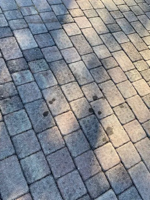 Professional landscape installation in Fort Lauderdale, FL by MJ'z Tree and Landscaping Service