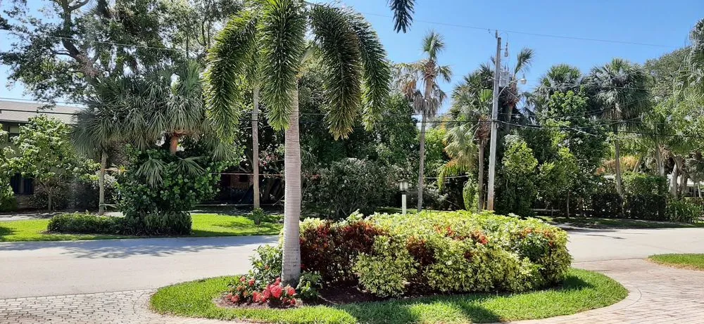 Local landscaping services in Fort Lauderdale, FL - MJ'z Tree and Landscaping Service