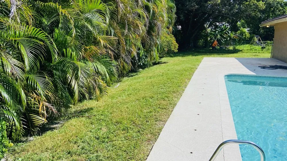 Expert landscape design in Fort Lauderdale, FL - MJ'z Tree and Landscaping Service