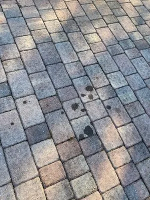 MJ'z Tree and Landscaping Service Logo