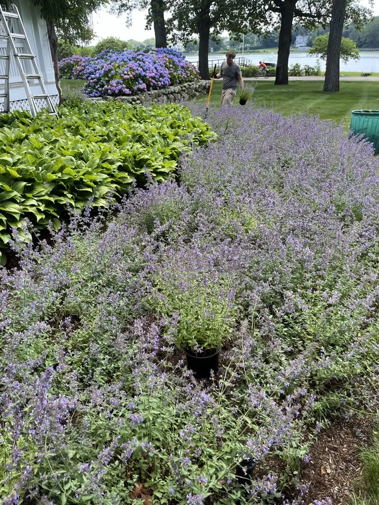 Trusted yard cleanup service experts serving Kingston, MA - M&K Contracting