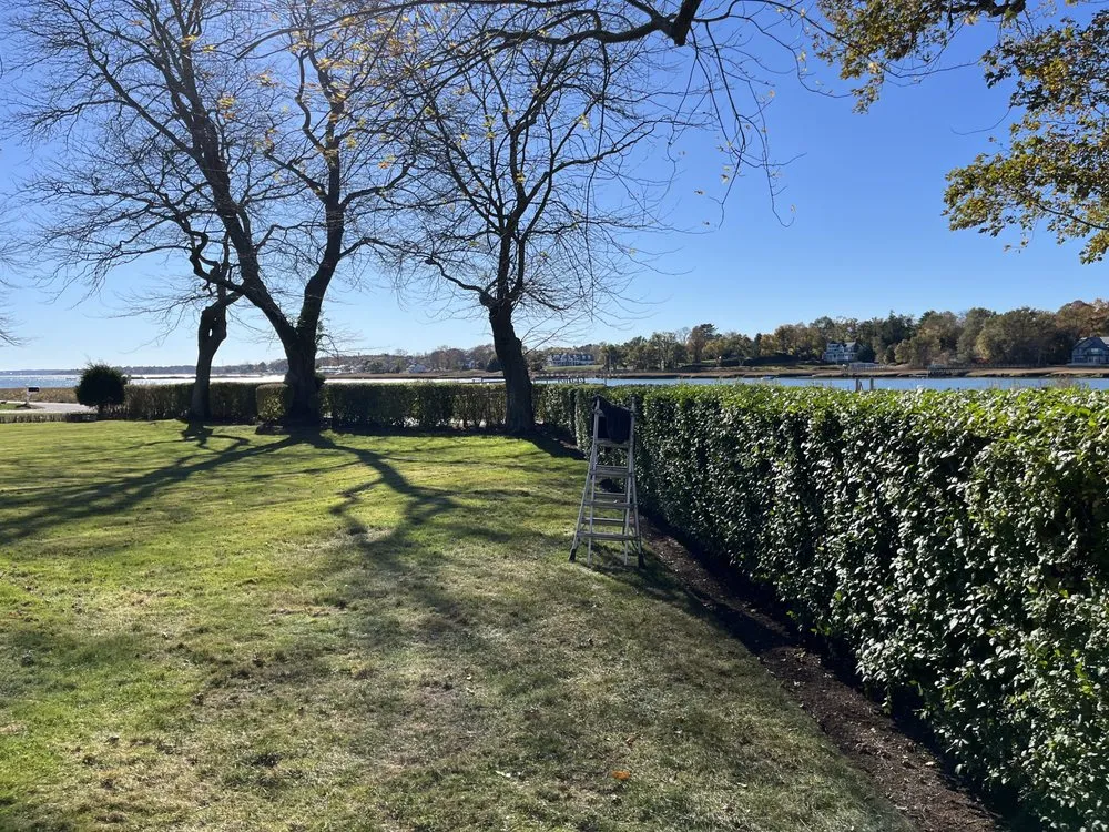 Expert yard cleanup service for beautiful yards in Kingston, MA by M&K Contracting