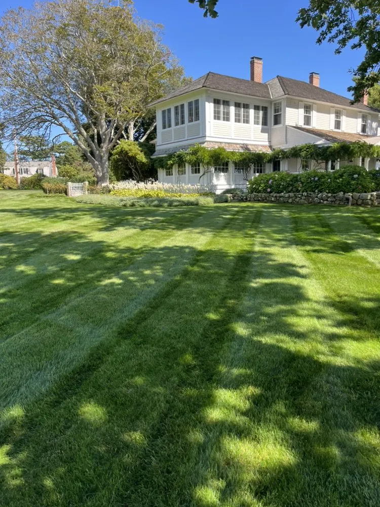 Professional lawn care service for beautiful yards across Kingston, MA - M&K Contracting