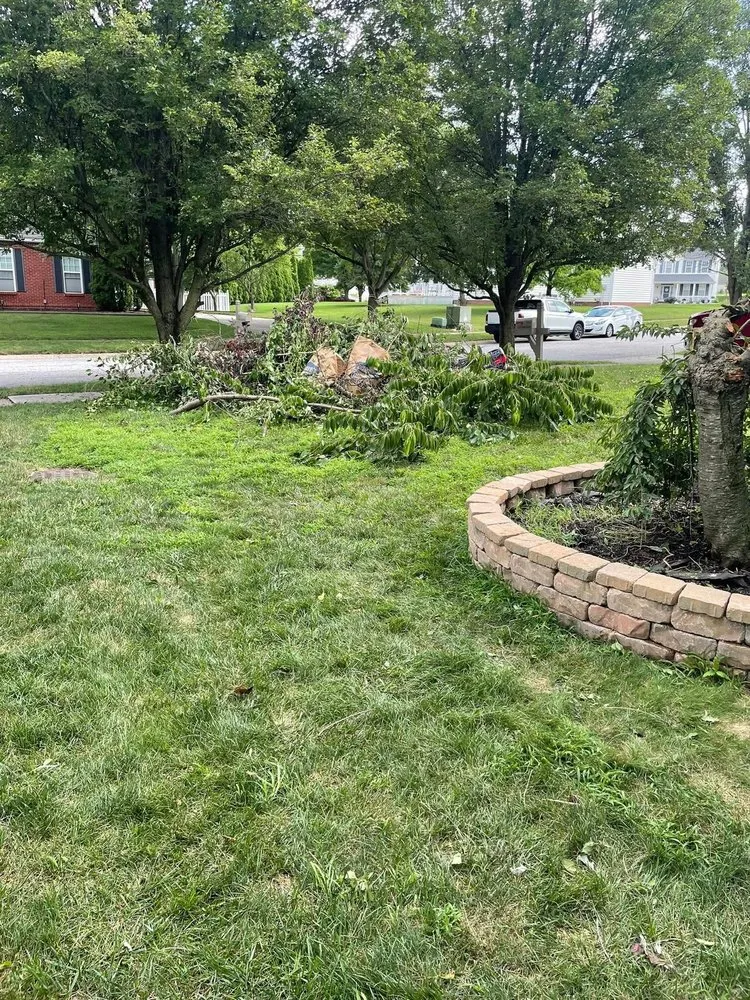 Professional yard maintenance in Indianapolis, IN by M&K Does It All