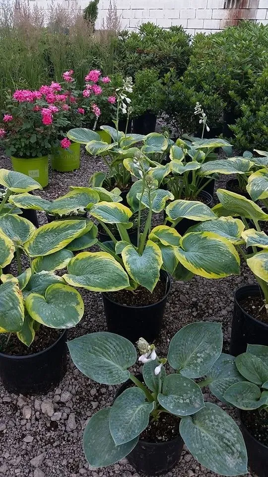 Custom garden landscaping in Hermitage, PA by MK Landscape Supply