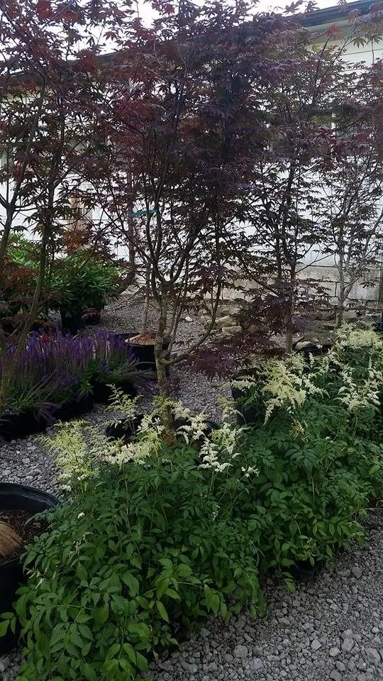 Reliable landscape design for year-round maintenance across Hermitage, PA - MK Landscape Supply