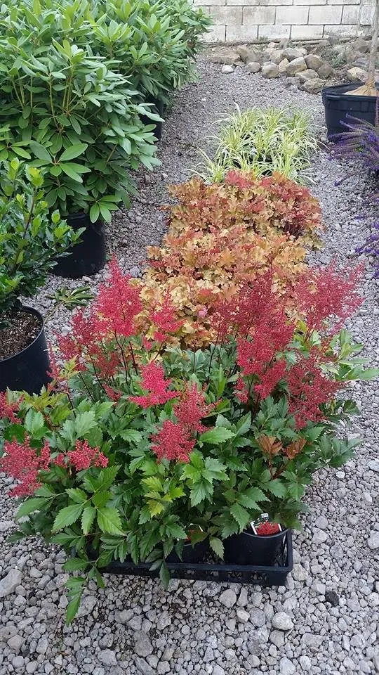 Local yard maintenance for residential properties in Hermitage, PA by MK Landscape Supply