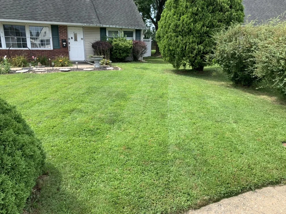 Top-rated landscape installation experts serving Levittown, PA - M&K Landscaping