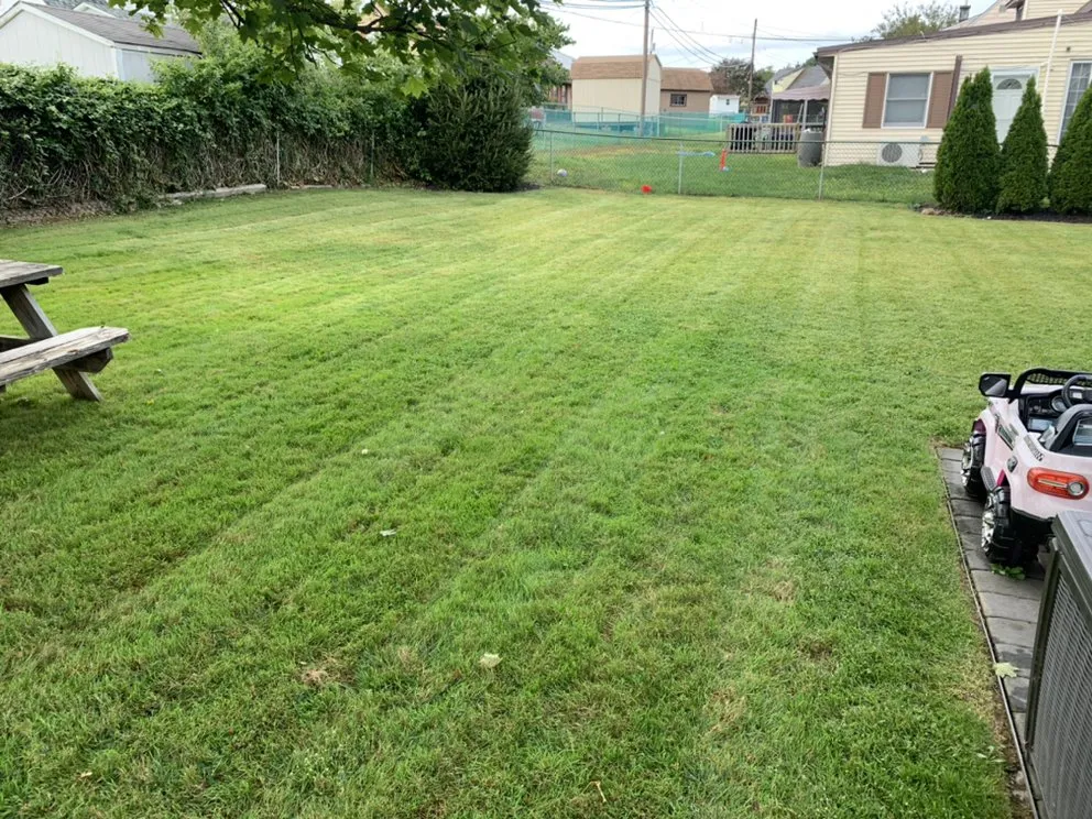 Top-rated landscape design in Levittown, PA by M&K Landscaping