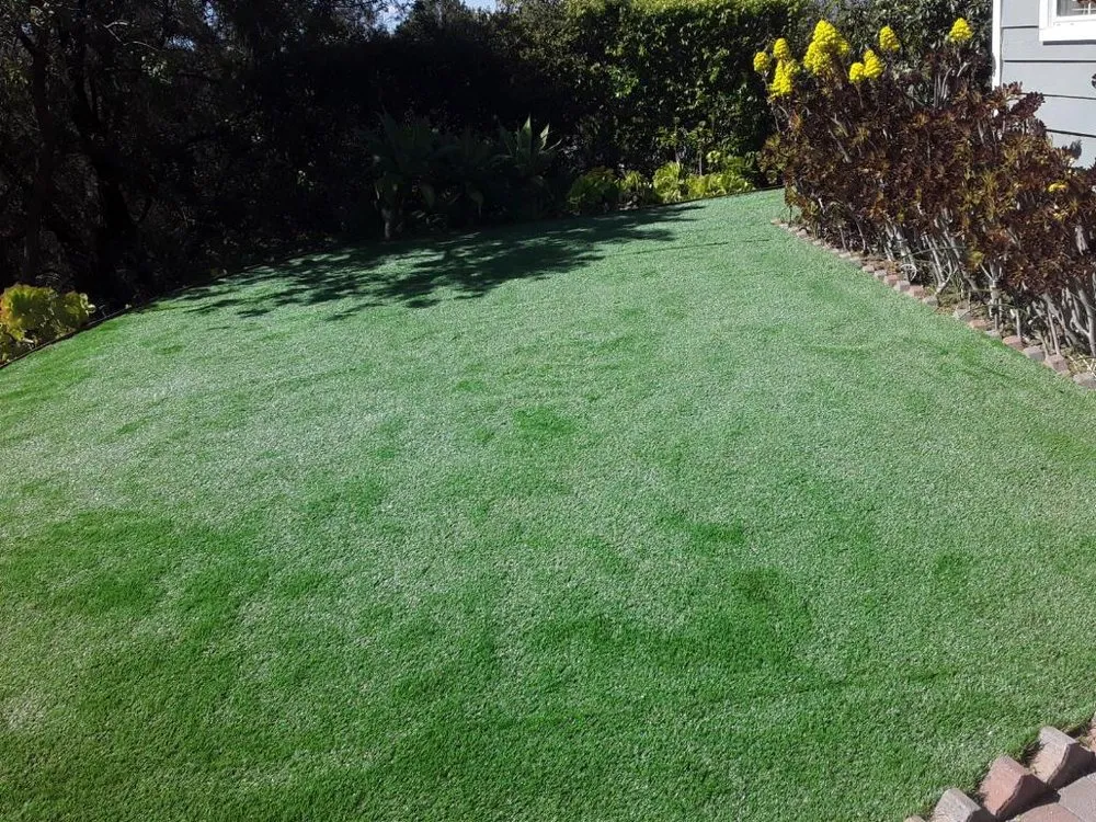 Affordable landscaping services in Los Angeles, CA - M&K Landscaping Services