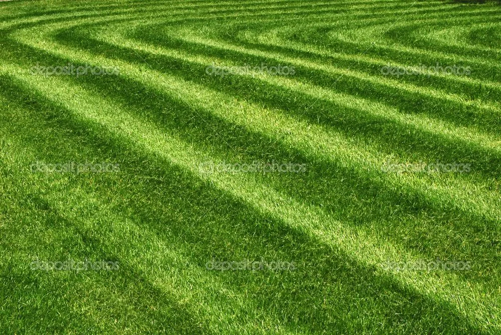 Affordable landscape design experts serving Luck, WI - M&K Lawn Care